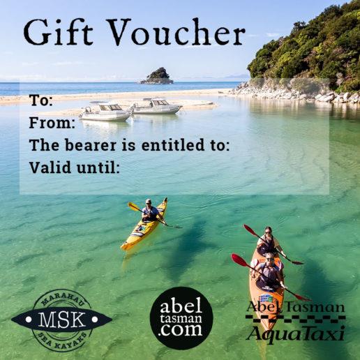 $100 Gift Voucher